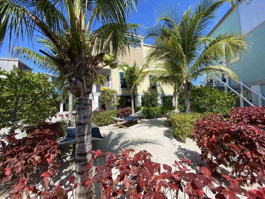 Paradise Without A Passport New Atlantic View Holiday home